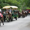 2014.05.31 - Uroczystość prymicyjna - sobota