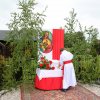 2016.05.26 - Uroczystość Bożego Ciała